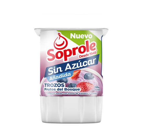 Yoghurt Sin Azúcar Trozos Frutos del Bosque 155g